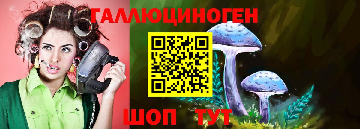 Псилоцибиновые грибы прущие грибы  Вход с VPN  наркотики  Анжеро-Судженск 