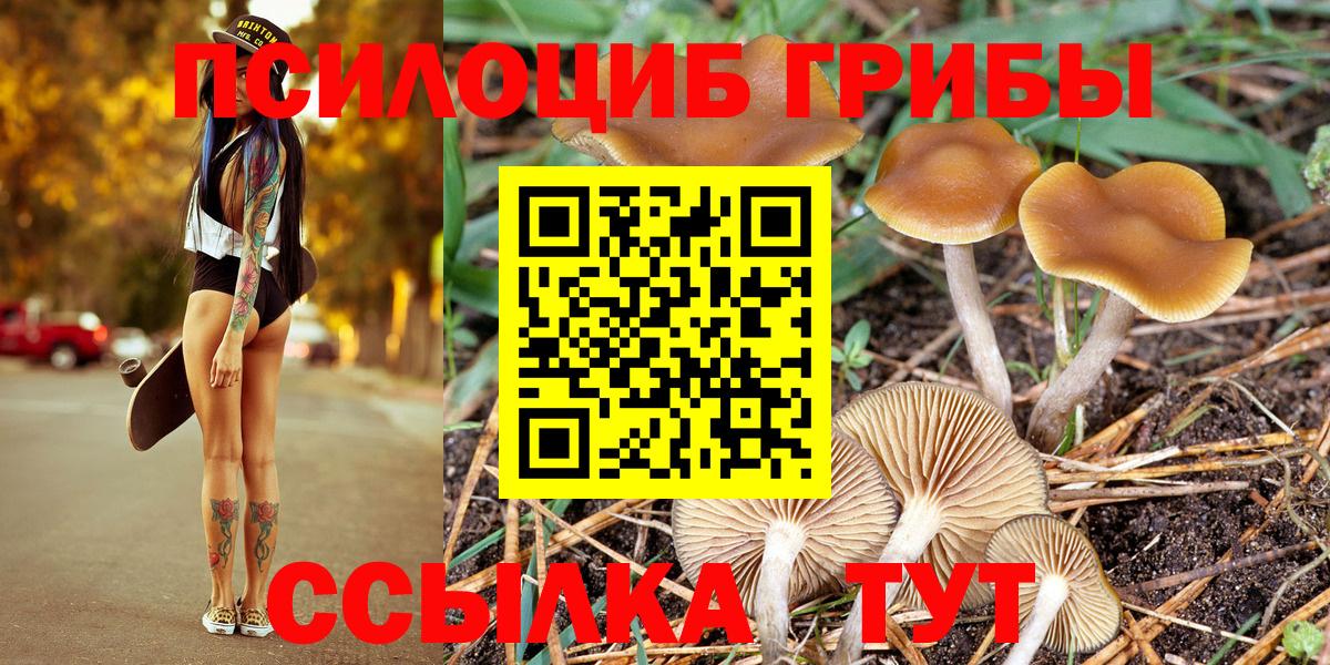 Псилоцибиновые грибы Magic Shrooms Анжеро-Судженск